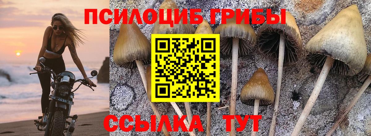 Дюртюли  Псилоцибиновые грибы ЛСД  Вход с VPN 